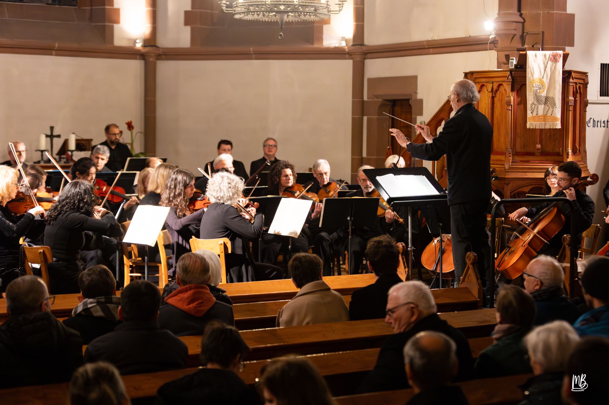 20241102   OSH (Notes d'automne)MB (15 sur 47)